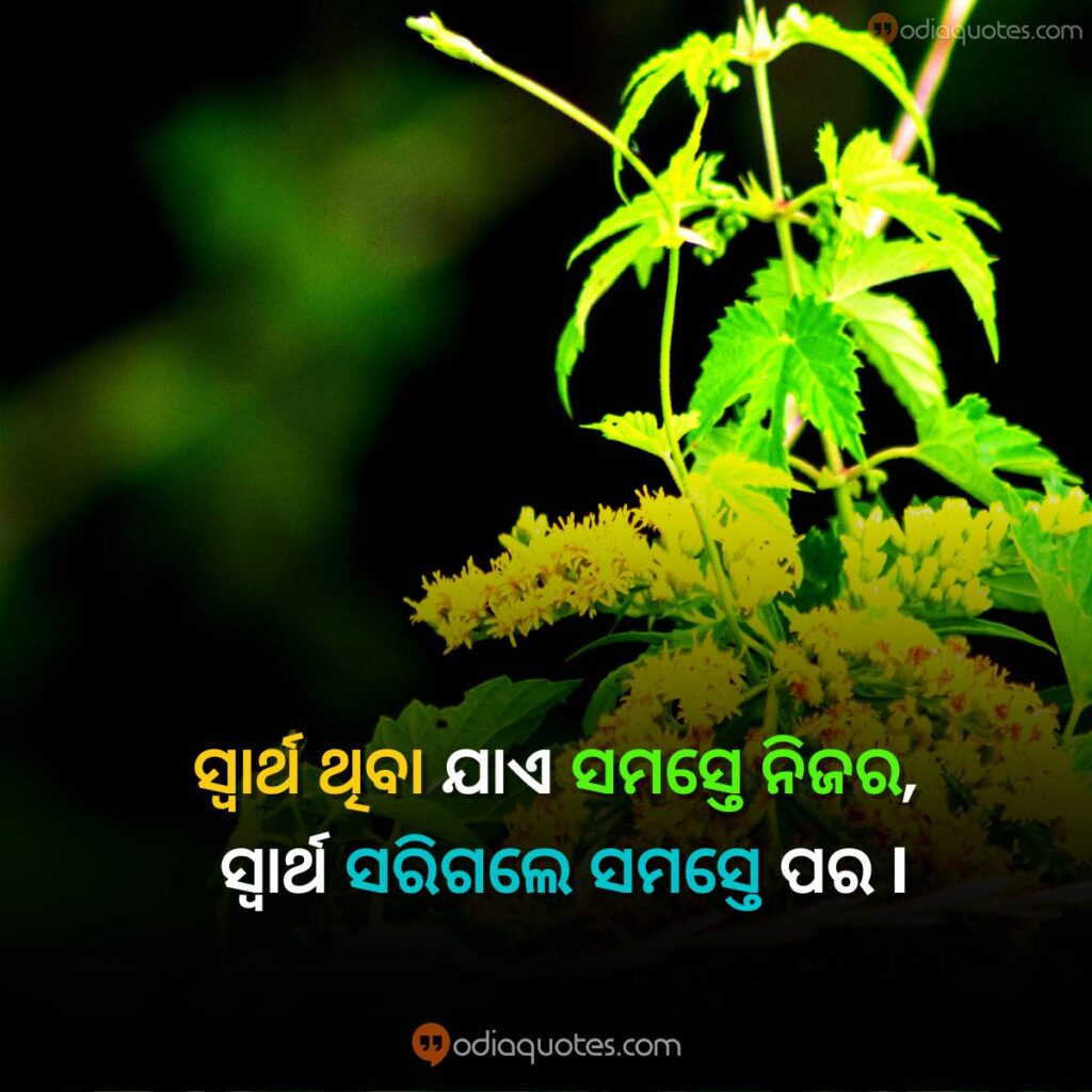 motivational odia quotes on life