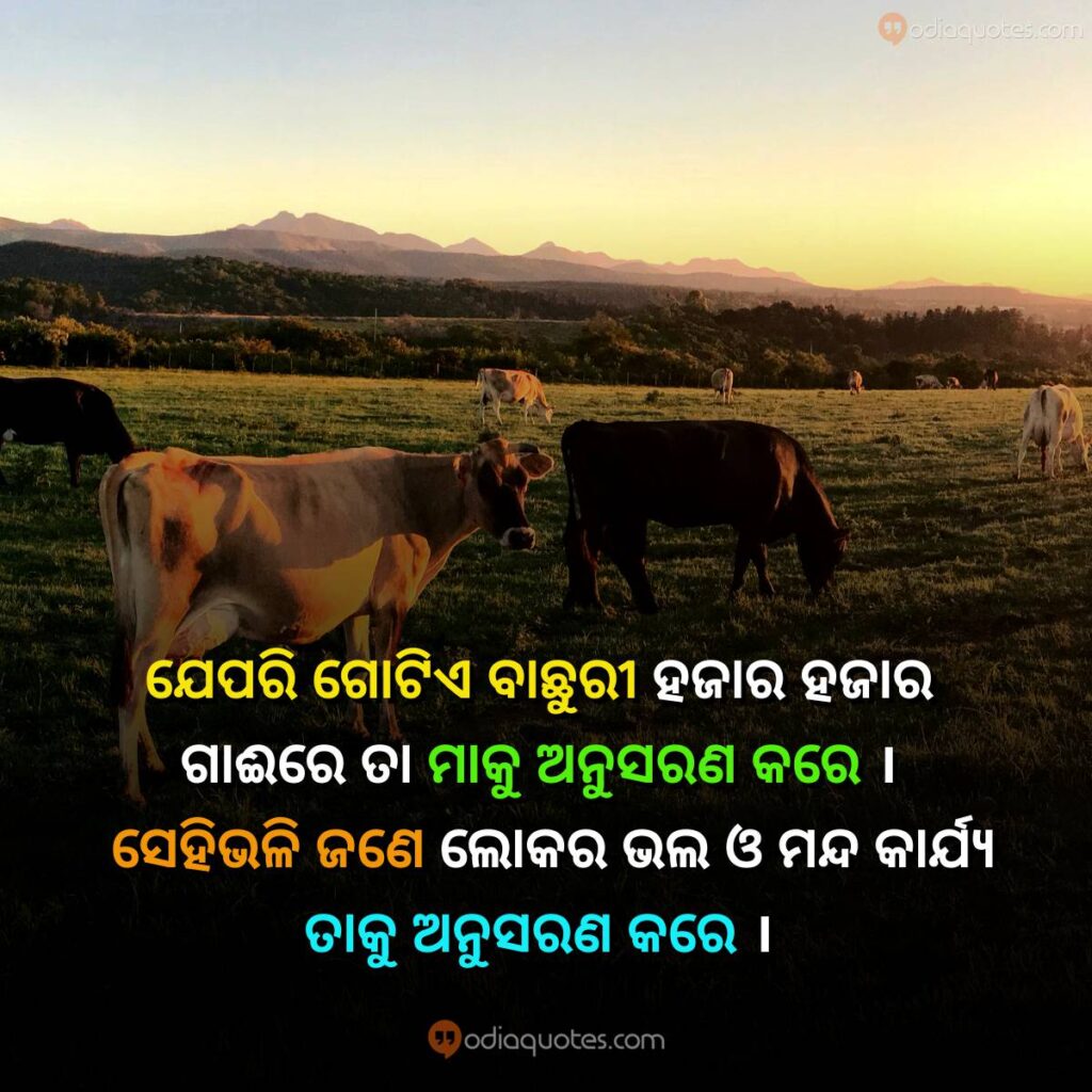 best life quotes in odia