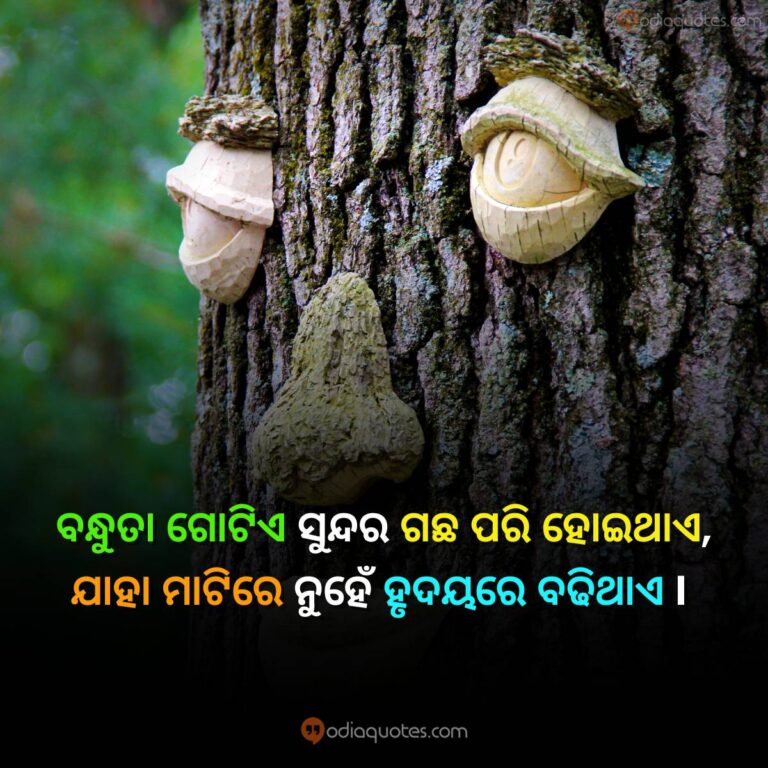 Odia Friendship Quotes 2023 Best 50+ Friendship Shayari In Odia
