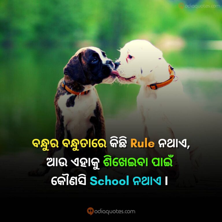 Odia Friendship Quotes 2023 Best 50+ Friendship Shayari In Odia