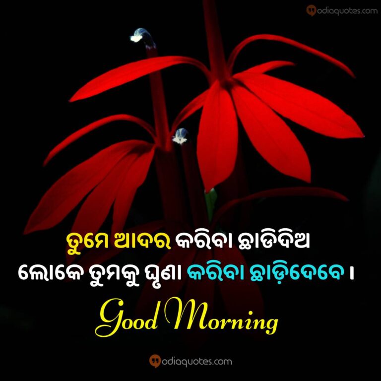 Top 50+ Odia Good Morning Quotes [October 2024] Best 50+ Odia Good