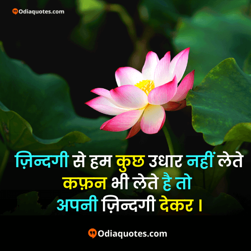 motivational quotes in hindi love